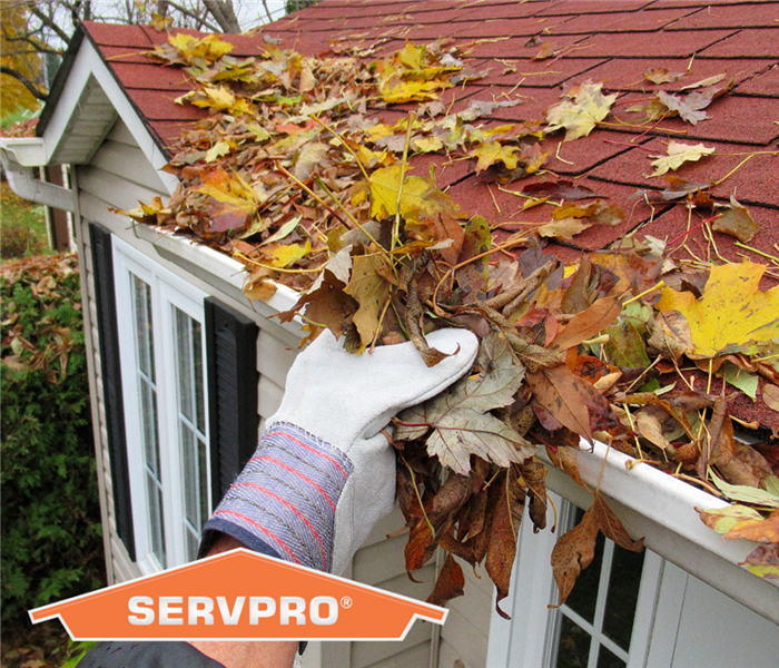 Gloved hand cleaning out gutters of home full of leaves. Orange SERVPRO logo in bottom left corner